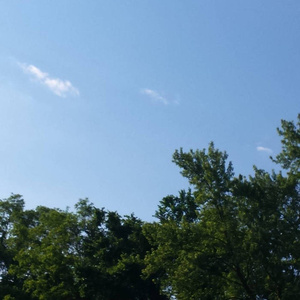 成年女人毛片免费观看不卡
