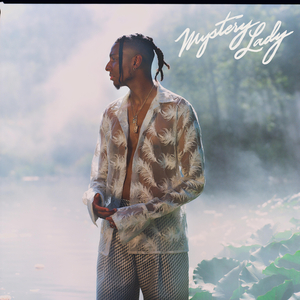 成年女人毛片免费观看不卡
