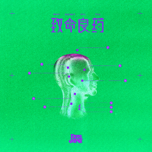 成年女人毛片免费观看不卡
