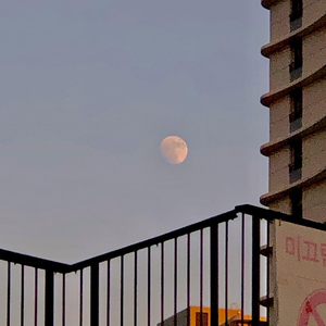 成年女人毛片免费观看不卡
