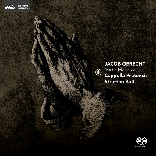 成年女人毛片免费观看不卡
